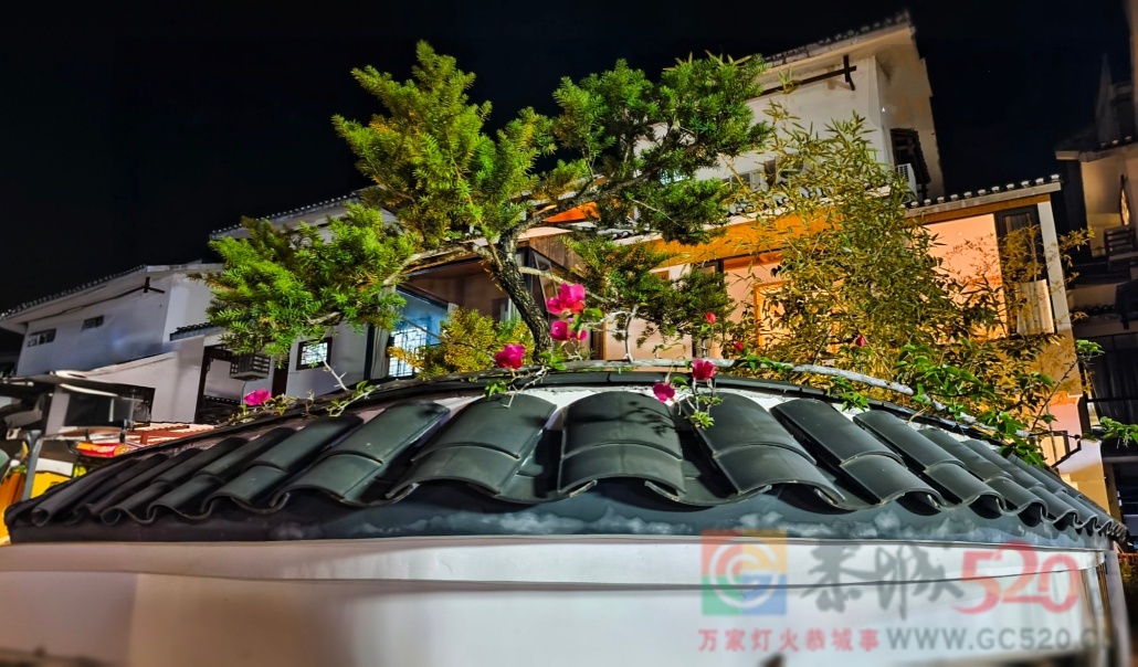 月柿红了，你来恭城了吗？746 / 作者:风云客 / 帖子ID:320670