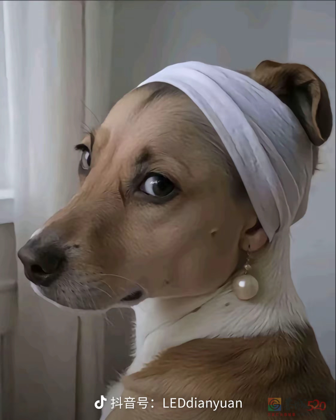 周未愉快！告告，晚安722 / 作者:猛龙 / 帖子ID:320699