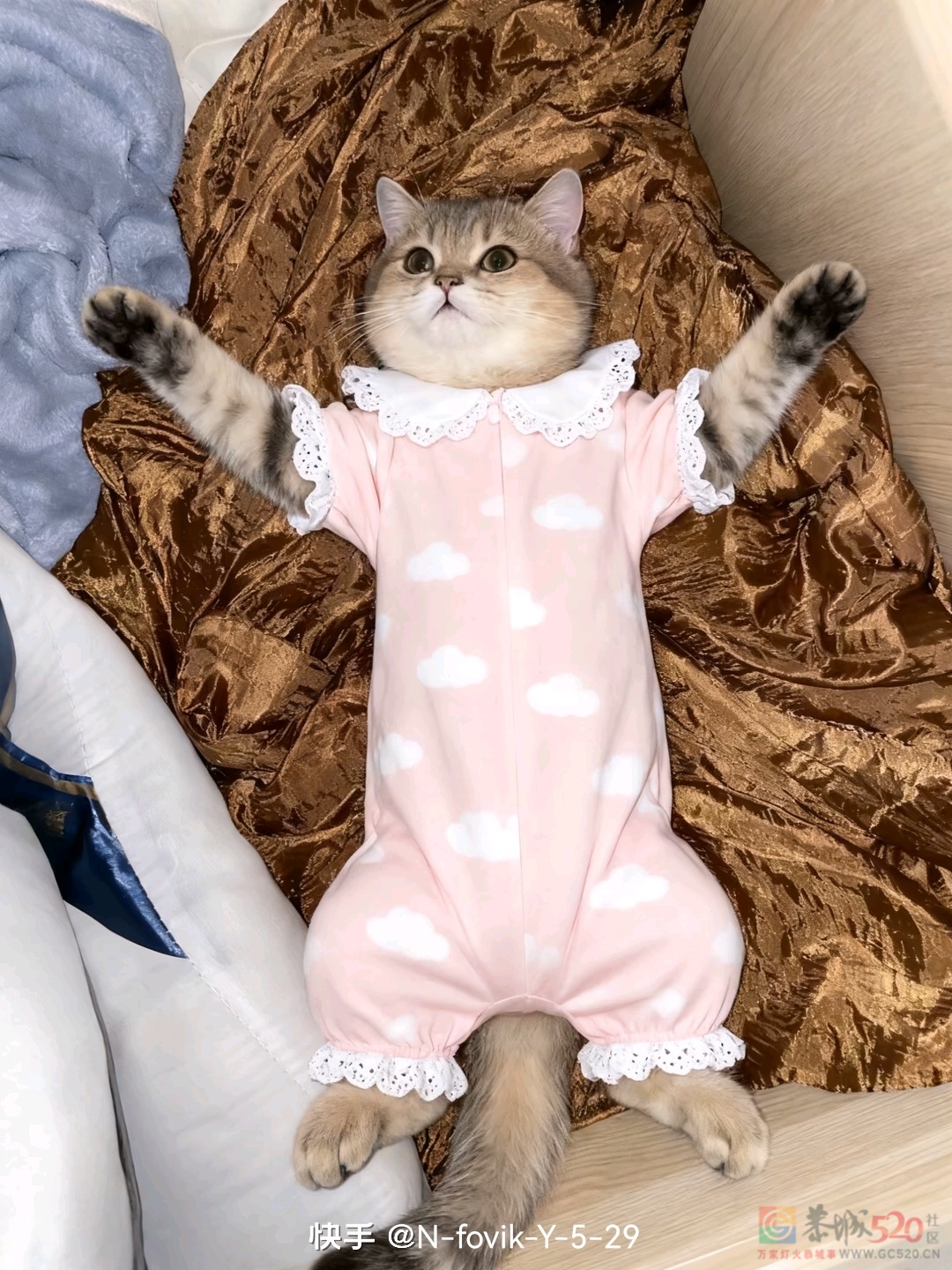 周未愉快！告告，晚安127 / 作者:猛龙 / 帖子ID:320704