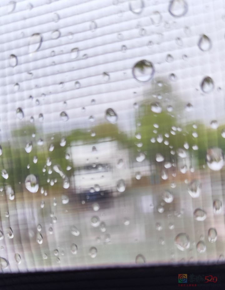 鄱阳湖露营逢夜雨160 / 作者:罗古 / 帖子ID:320744