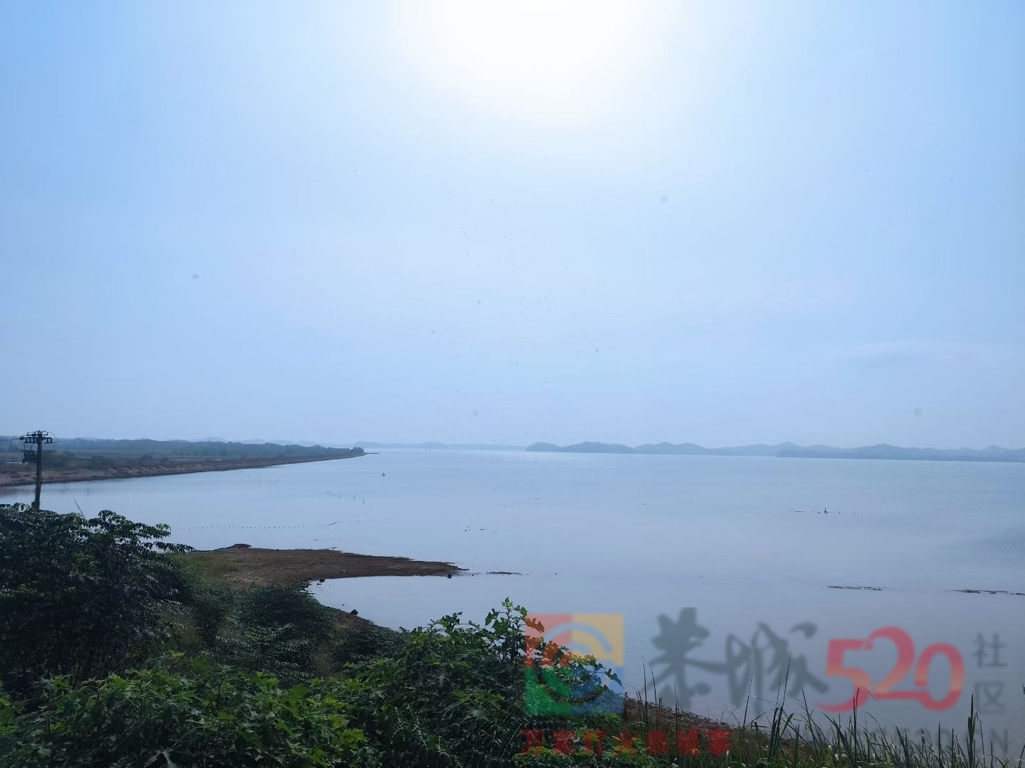 鄱阳湖露营逢夜雨387 / 作者:罗古 / 帖子ID:320744